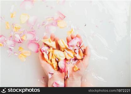 hands with pile petals. High resolution photo. hands with pile petals. High quality photo