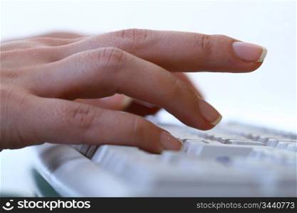 hands work on keyboard white background