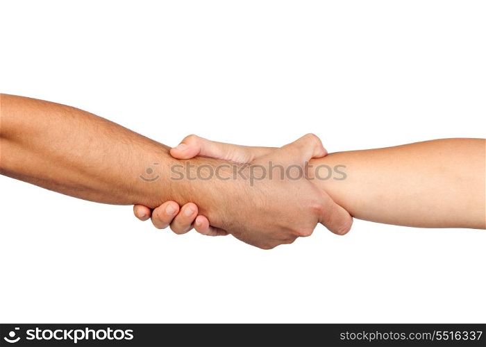 Handshake of friendship isolated on white background