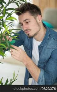 handsome attentive florist with red beard taking care of plants