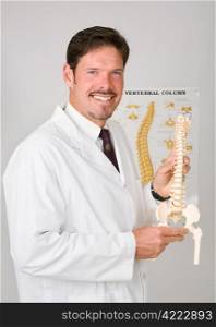 Handsome chiropractor holding plastic replica of a spinal column.
