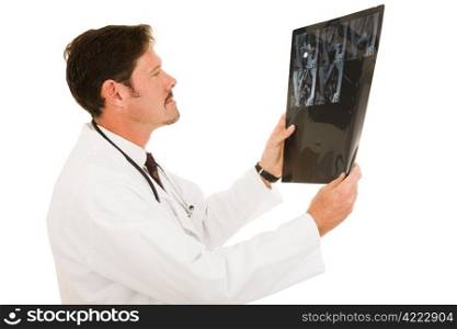Handsome doctor examining the results of and MRI scan.