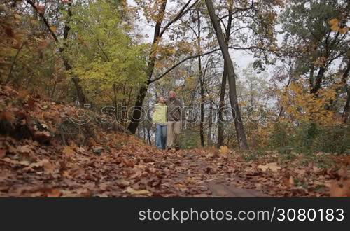 Handsome elderly man embracing his beloved beautiful wife while taking a walk in autumn park. Senior couple taking a stroll on park alley covered with yellow foliage over amazing golden autumn landscpe background. Steadicam stabilized shot. Slo mo.