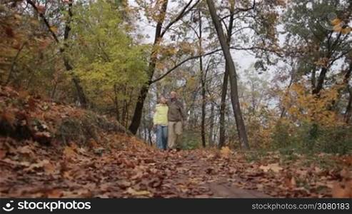 Handsome elderly man embracing his beloved beautiful wife while taking a walk in autumn park. Senior couple taking a stroll on park alley covered with yellow foliage over amazing golden autumn landscpe background. Steadicam stabilized shot. Slo mo.