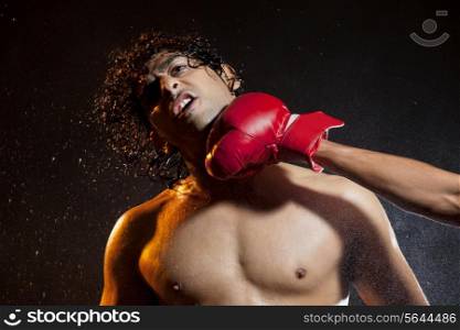 Handsome male boxer striking opponent