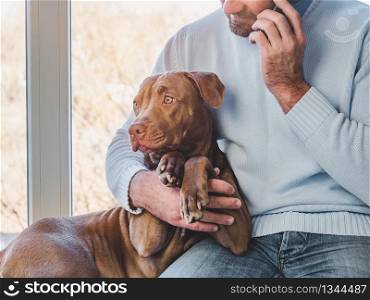 Handsome man and a charming puppy. Close-up, indoors. Studio photo, white color. Concept of care, education, obedience training and raising pets. Handsome man and a charming puppy. Close-up