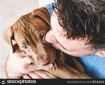Handsome man and young, charming puppy. Close-up,view from above, white isolated background. Studio photo. Concept of care, education, training and raising of animals. Handsome man and charming puppy. Studio photo