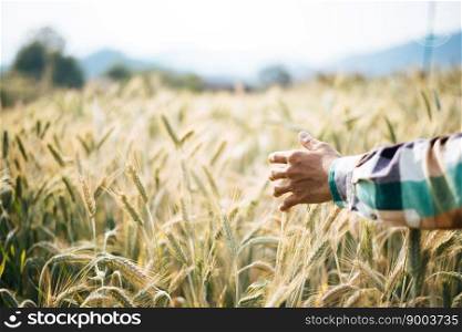 Handsome man farmer with barley field
