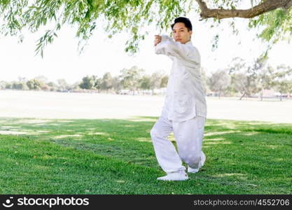 Handsome man practicing thai chi. Handsome man practicing thai chi in the park in the summertime