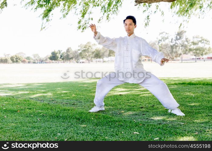 Handsome man practicing thai chi. Handsome man practicing thai chi in the park in the summertime