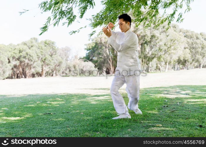 Handsome man practicing thai chi. Handsome man practicing thai chi in the park in the summertime