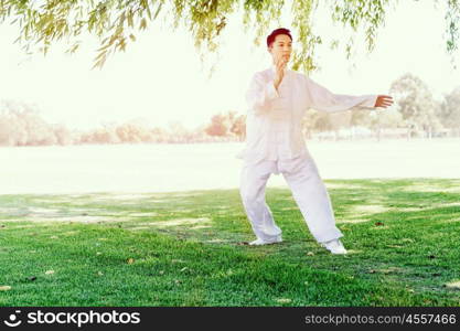 Handsome man practicing thai chi. Handsome man practicing thai chi in the park in the summertime