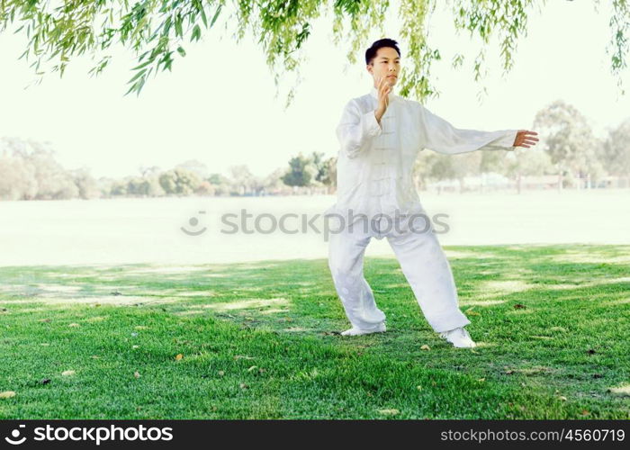 Handsome man practicing thai chi. Handsome man practicing thai chi in the park in the summertime