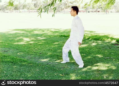 Handsome man practicing thai chi. Handsome man practicing thai chi in the park in the summertime