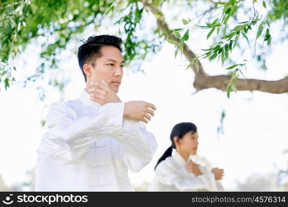 Handsome man practicing thai chi. Handsome man practicing thai chi in the park in the summertime