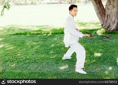 Handsome man practicing thai chi. Handsome man practicing thai chi in the park in the summertime