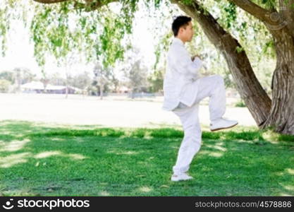 Handsome man practicing thai chi. Handsome man practicing thai chi in the park in the summertime