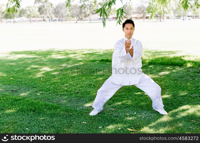 Handsome man practicing thai chi. Handsome man practicing thai chi in the park in the summertime