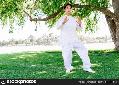 Handsome man practicing thai chi. Handsome man practicing thai chi in the park in the summertime