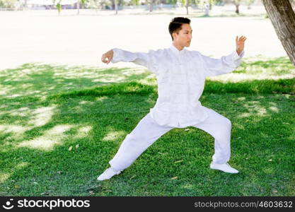 Handsome man practicing thai chi. Handsome man practicing thai chi in the park in the summertime