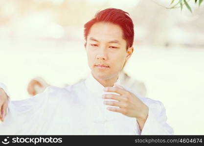 Handsome man practicing thai chi. Handsome man practicing thai chi in the park in the summertime