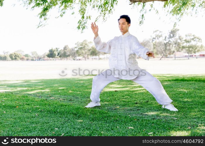 Handsome man practicing thai chi. Handsome man practicing thai chi in the park in the summertime