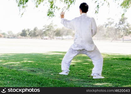 Handsome man practicing thai chi. Handsome man practicing thai chi in the park in the summertime