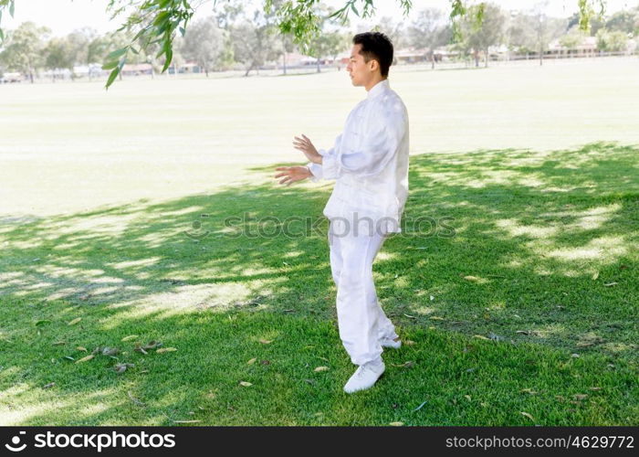 Handsome man practicing thai chi. Handsome man practicing thai chi in the park in the summertime