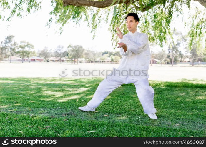 Handsome man practicing thai chi. Handsome man practicing thai chi in the park in the summertime