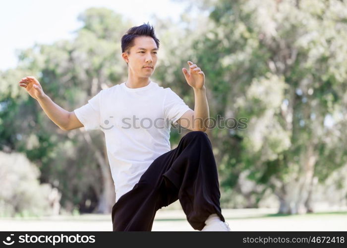 Handsome man practicing thai chi. Handsome man practicing thai chi in the park in the summertime