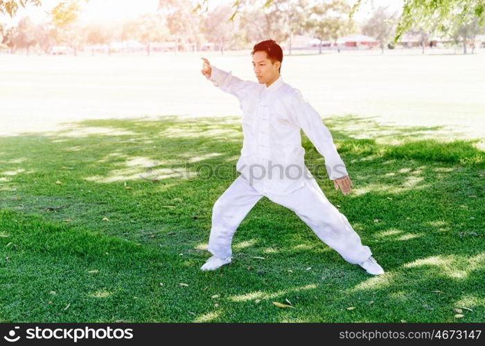 Handsome man practicing thai chi. Handsome man practicing thai chi in the park in the summertime