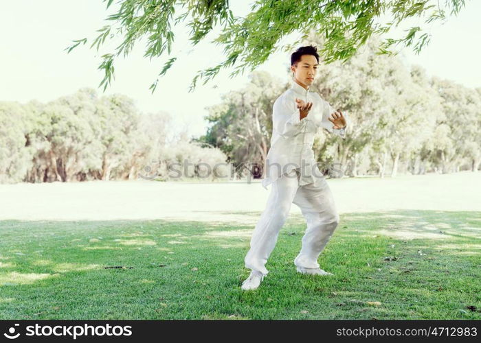 Handsome man practicing thai chi. Handsome man practicing thai chi in the park in the summertime