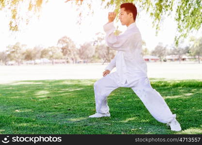 Handsome man practicing thai chi. Handsome man practicing thai chi in the park in the summertime