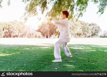 Handsome man practicing thai chi. Handsome man practicing thai chi in the park in the summertime