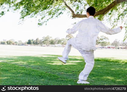 Handsome man practicing thai chi. Handsome man practicing thai chi in the park in the summertime