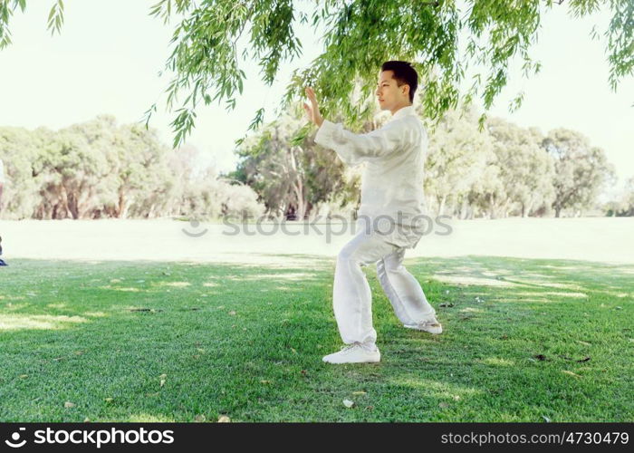 Handsome man practicing thai chi. Handsome man practicing thai chi in the park in the summertime