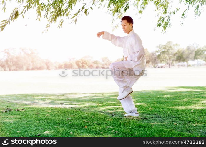 Handsome man practicing thai chi. Handsome man practicing thai chi in the park in the summertime