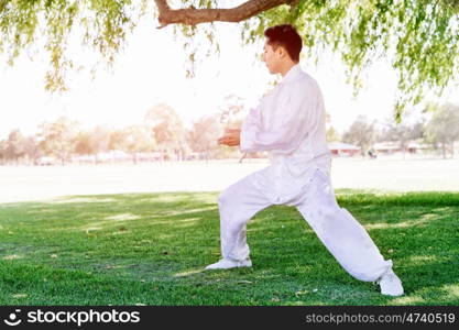 Handsome man practicing thai chi. Handsome man practicing thai chi in the park in the summertime