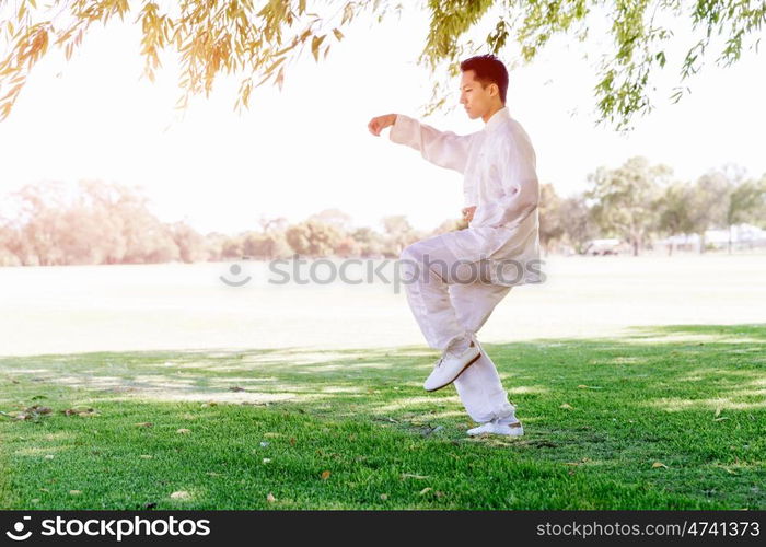 Handsome man practicing thai chi. Handsome man practicing thai chi in the park in the summertime