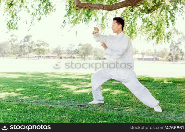 Handsome man practicing thai chi. Handsome man practicing thai chi in the park in the summertime