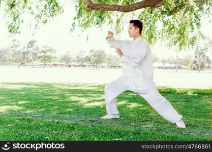 Handsome man practicing thai chi. Handsome man practicing thai chi in the park in the summertime