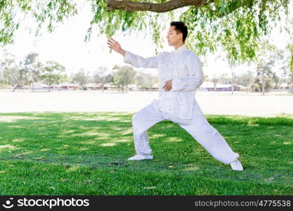 Handsome man practicing thai chi. Handsome man practicing thai chi in the park in the summertime