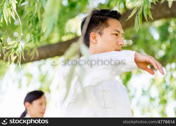 Handsome man practicing thai chi. Handsome man practicing thai chi in the park in the summertime