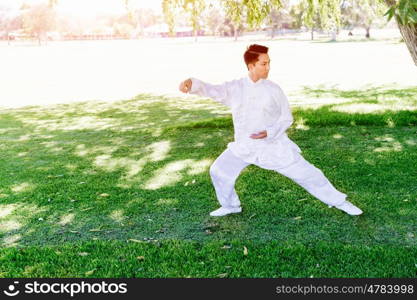 Handsome man practicing thai chi. Handsome man practicing thai chi in the park in the summertime