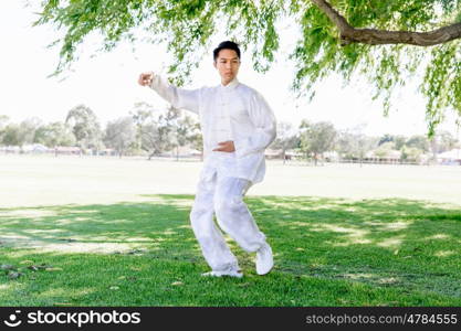 Handsome man practicing thai chi. Handsome man practicing thai chi in the park in the summertime