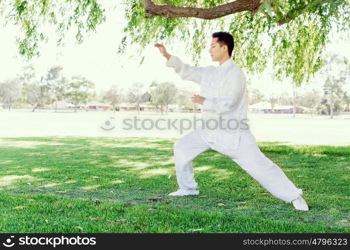 Handsome man practicing thai chi. Handsome man practicing thai chi in the park in the summertime