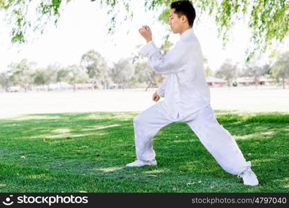 Handsome man practicing thai chi. Handsome man practicing thai chi in the park in the summertime