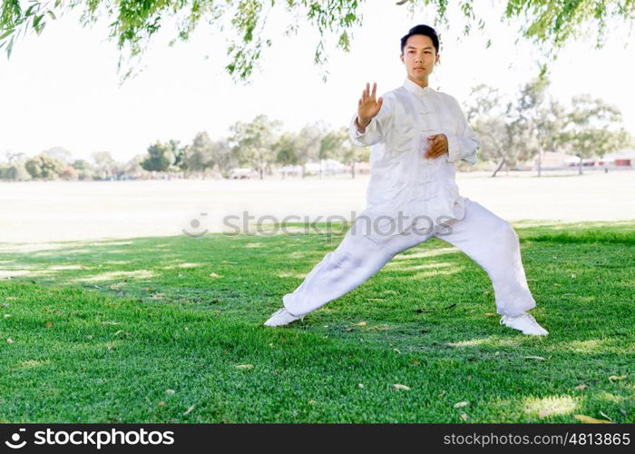 Handsome man practicing thai chi. Handsome man practicing thai chi in the park in the summertime