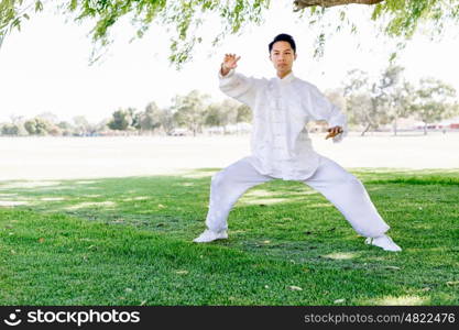 Handsome man practicing thai chi. Handsome man practicing thai chi in the park in the summertime