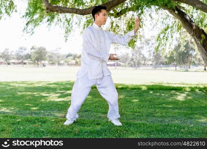 Handsome man practicing thai chi. Handsome man practicing thai chi in the park in the summertime